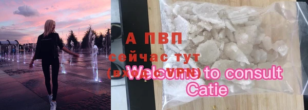 шишки Балабаново