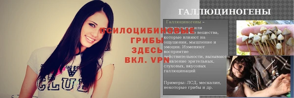 крисы Арсеньев