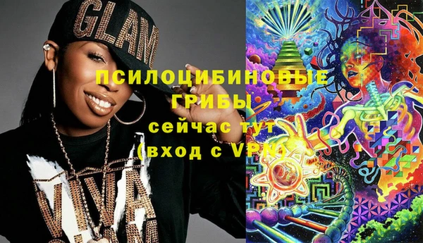 шишки Балабаново