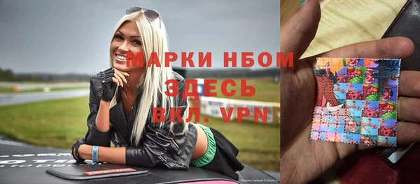 ешки Аркадак