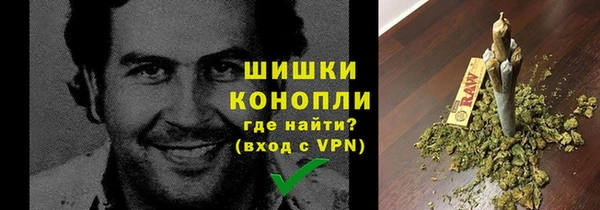 ешки Аркадак